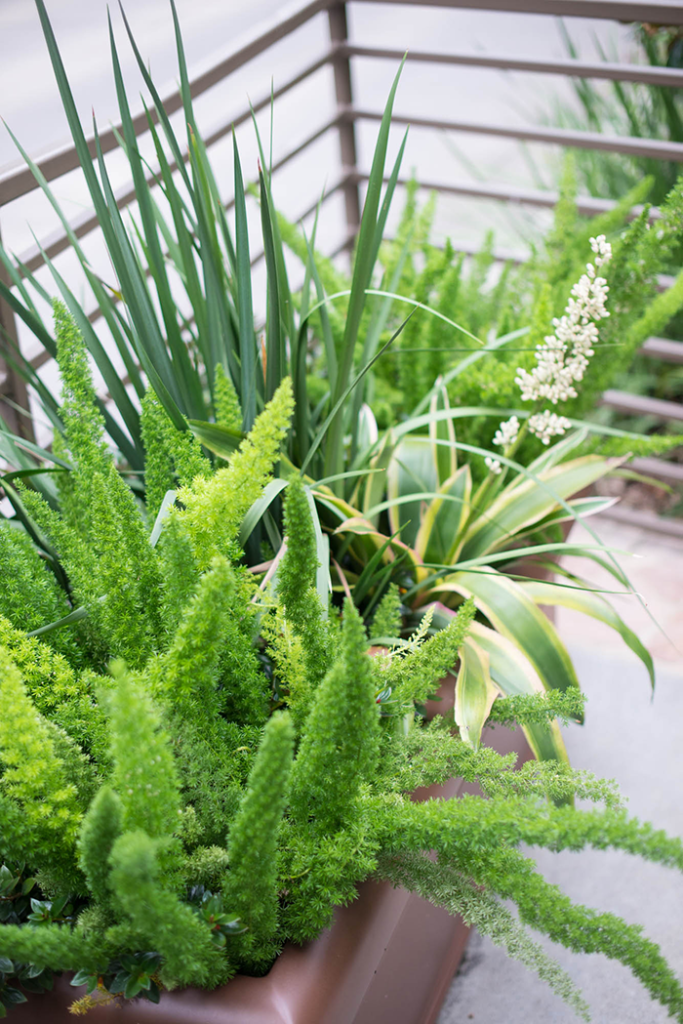 the houstonian hotel, club & trellis spa The Style Scribe