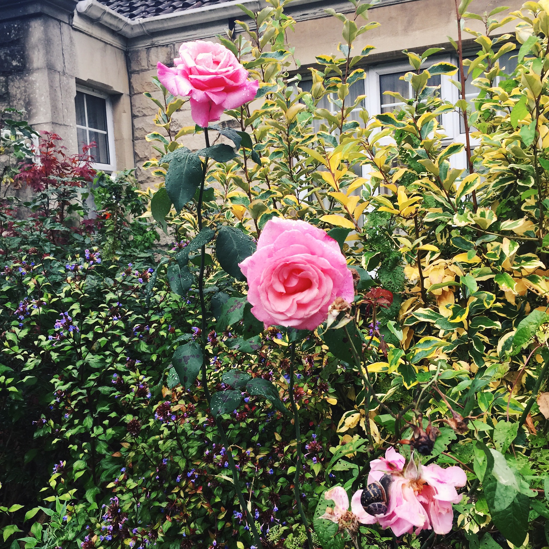 Bath, England | The Style Scribe