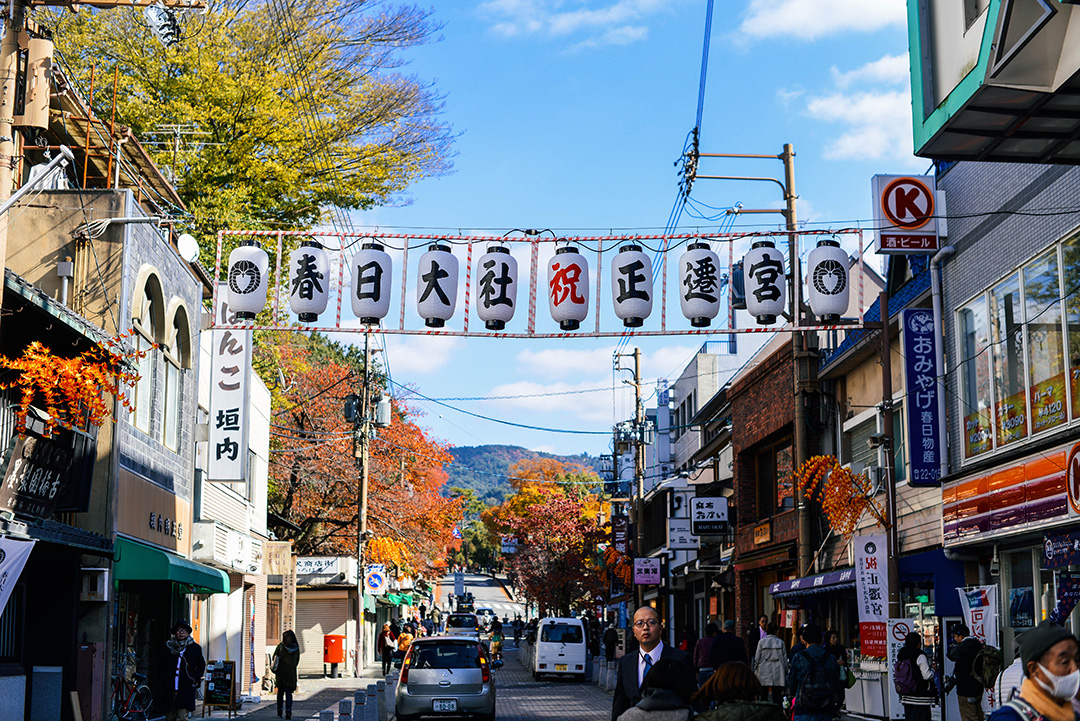 best attractions nara japan deer park