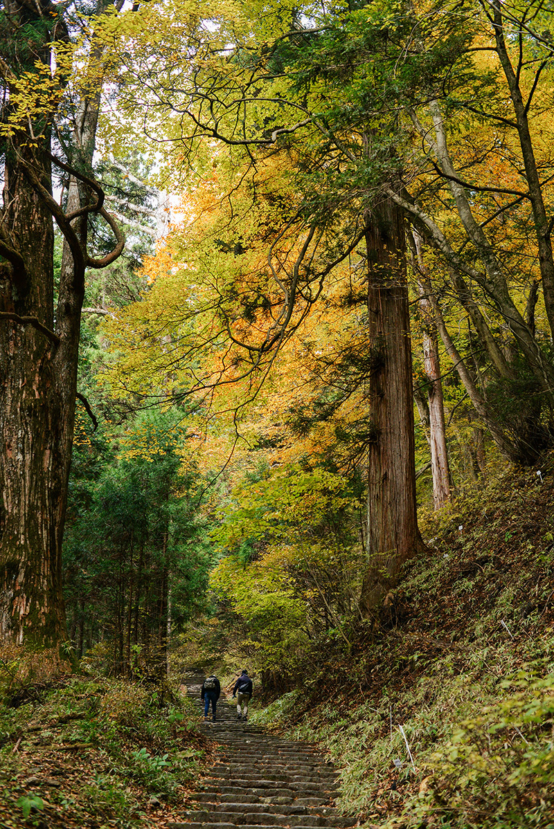 Day Trip To Nikko | The Style Scribe