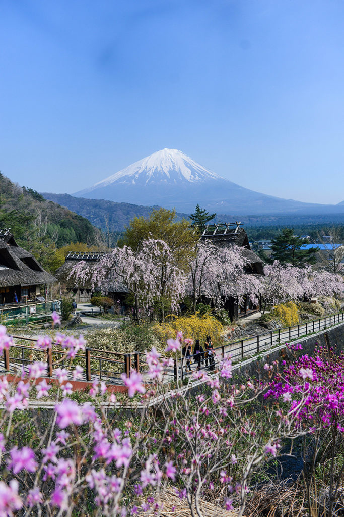 The Best Way to View & Explore Mt Fuji | Lake Kawaguchiko, Iyashi No Sato