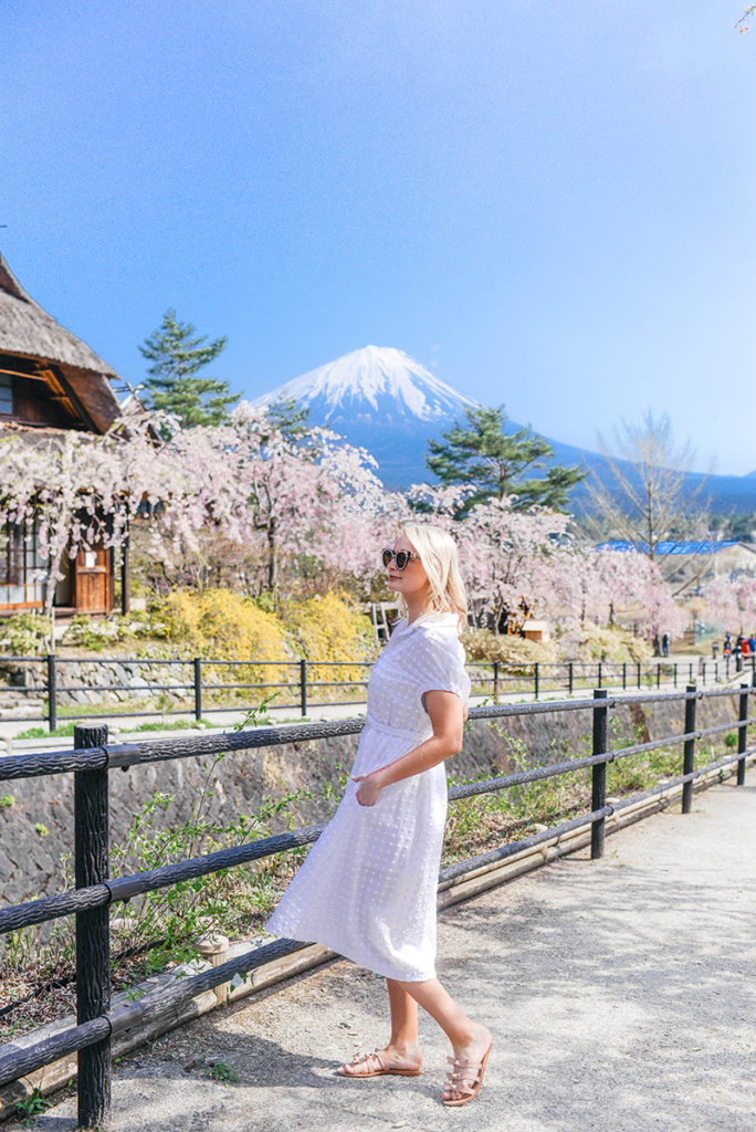 The Best Way to View & Explore Mt Fuji | Lake Kawaguchiko, Iyashi No Sato