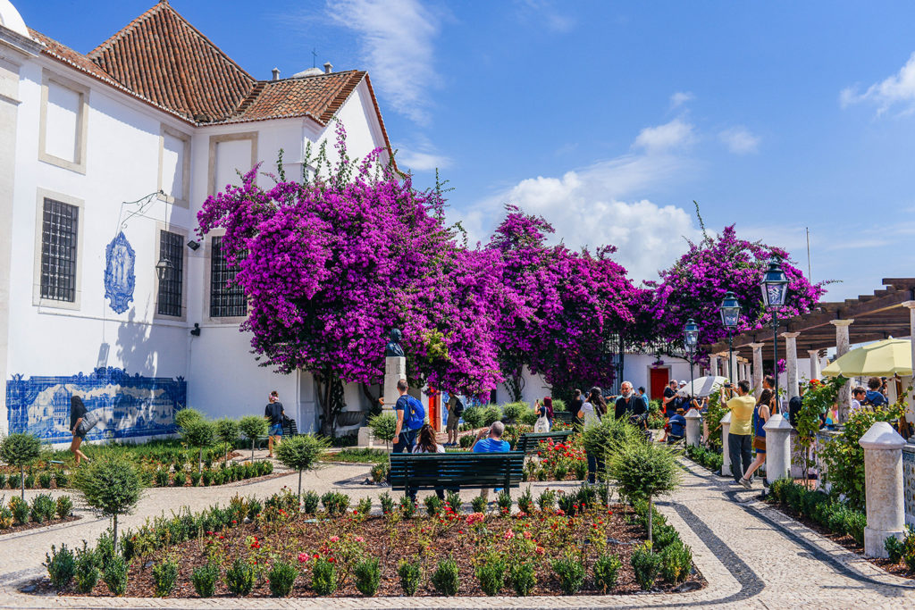 Best Viewpoints in Lisbon | Tips for Exploring Lisboa