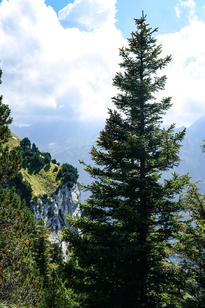 Best Hiking Trails outside of Zurich, Switzerland | Klingenstock Trail in Stoos