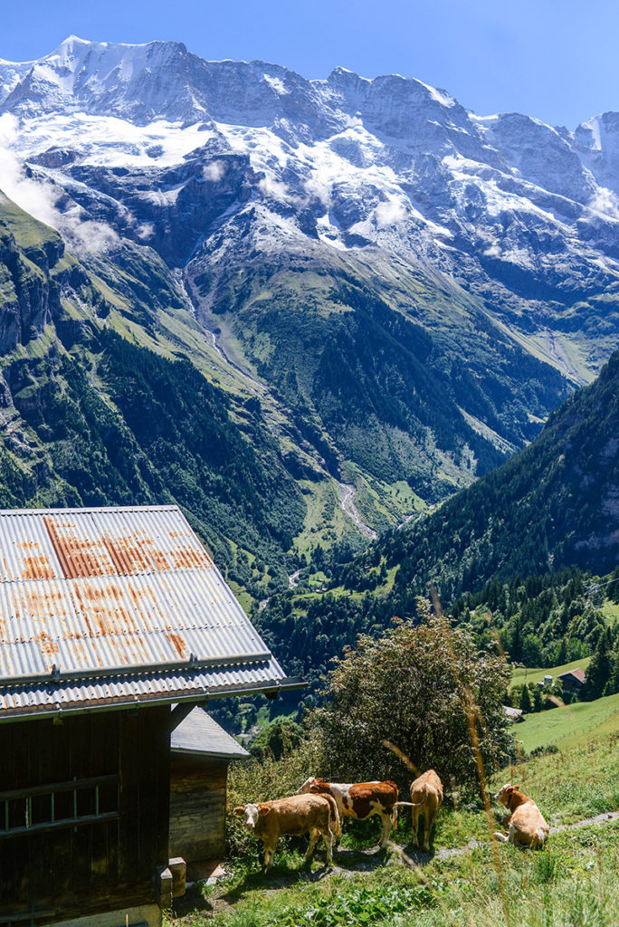 My hike through Lauterbrunnen, Murren, and Gimmelwald, Switzerland