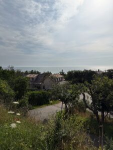 NANTUCKET TRAVEL GUIDE - THE BEST PLACES TO EAT, WHERE TO STAY AND THINGS TO DO WITH A LONG WEEKEND ON THE ISLAND